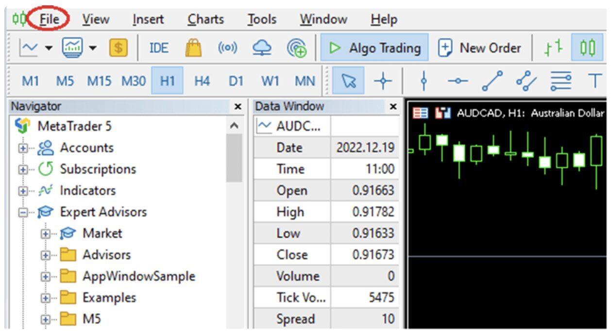 MetaTrader Integration - Screenshot 2024 06 19 at 9.44.49 AM